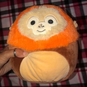 Robb the Monkey squishmallow 8”